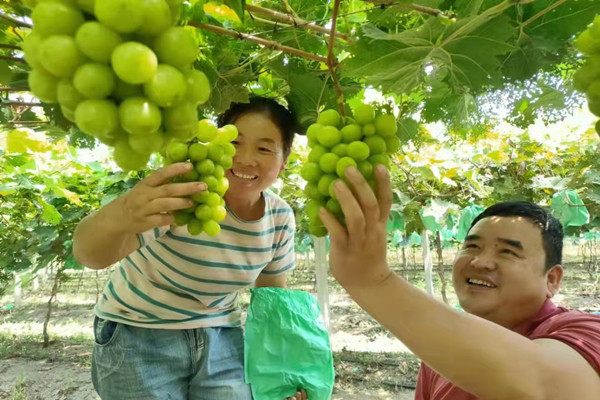 淮南市鳳臺縣顧橋鎮黨委:念好黨建引領(lǐng)“四字訣”，激活鄉村振興“一池水”