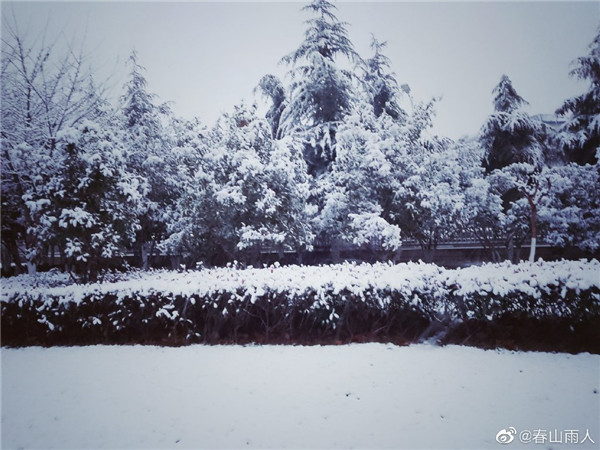 【圖說(shuō)淮南】——2022年淮南第一場(chǎng)雪！來(lái)的遲嗎？