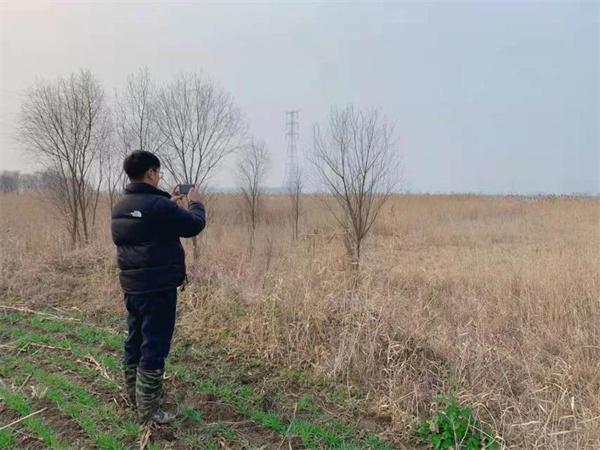 淮南市自然資源和規劃局多措并舉確保2021年度變更調查順利開(kāi)展