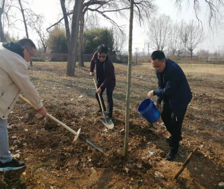淮南市文旅局開(kāi)展黨員義務(wù)植樹(shù)活動(dòng)