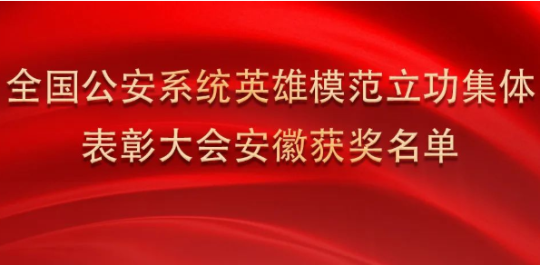 淮南上榜！全國表彰！